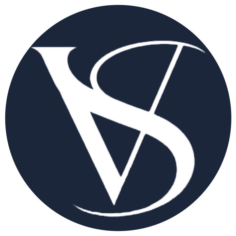 Videonadzor Sarajevo Logo